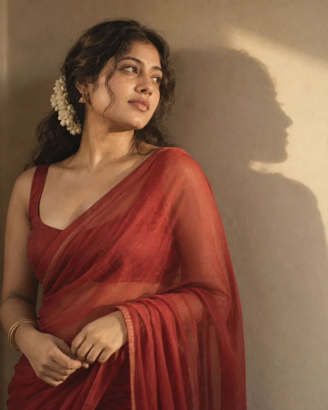 Example result: A woman in a sheer red chiffon saree with jasmine in her hair stands by a warm-toned wall, her soft shadow beside her.